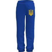 Детские трикотажные штаны с гербом Украины 2