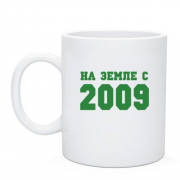 Чашка На земле с 2009