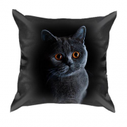 3D подушка с котом "Британец"