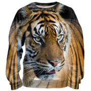 3D світшот Big Tiger