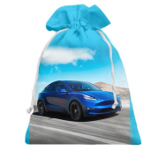 Подарунковий мішечок Blue Tesla