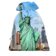 Подарочный мешочек The Statue of Liberty