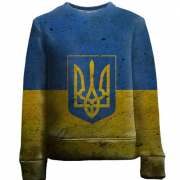 Дитячий 3D світшот з прапором і гербом України