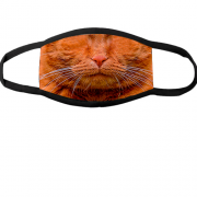 Многоразовая маска для лица Рыжий кот