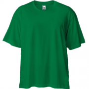 Зелена футболка двонитка Oversize "ALLAZY"