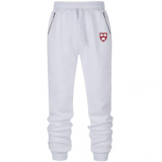 Чоловічі штани на флісі Harvard logo mini